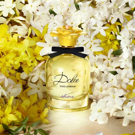 dolce gabbana shine perfume|dolce gabbana notes.